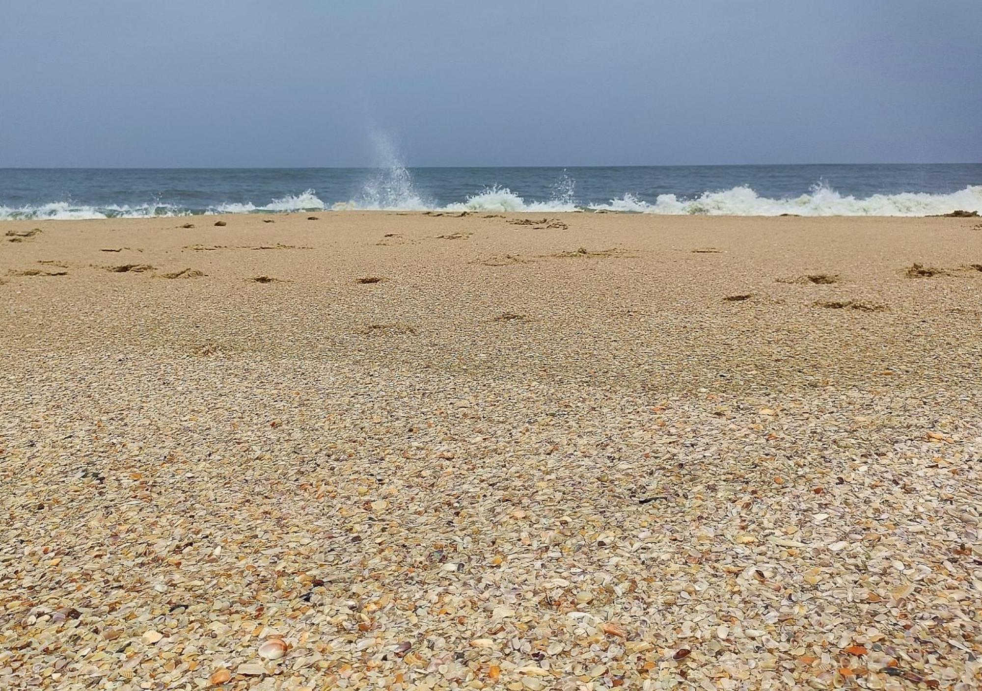 Marari Beach Cleetus Homestay Mararikulam Zewnętrze zdjęcie