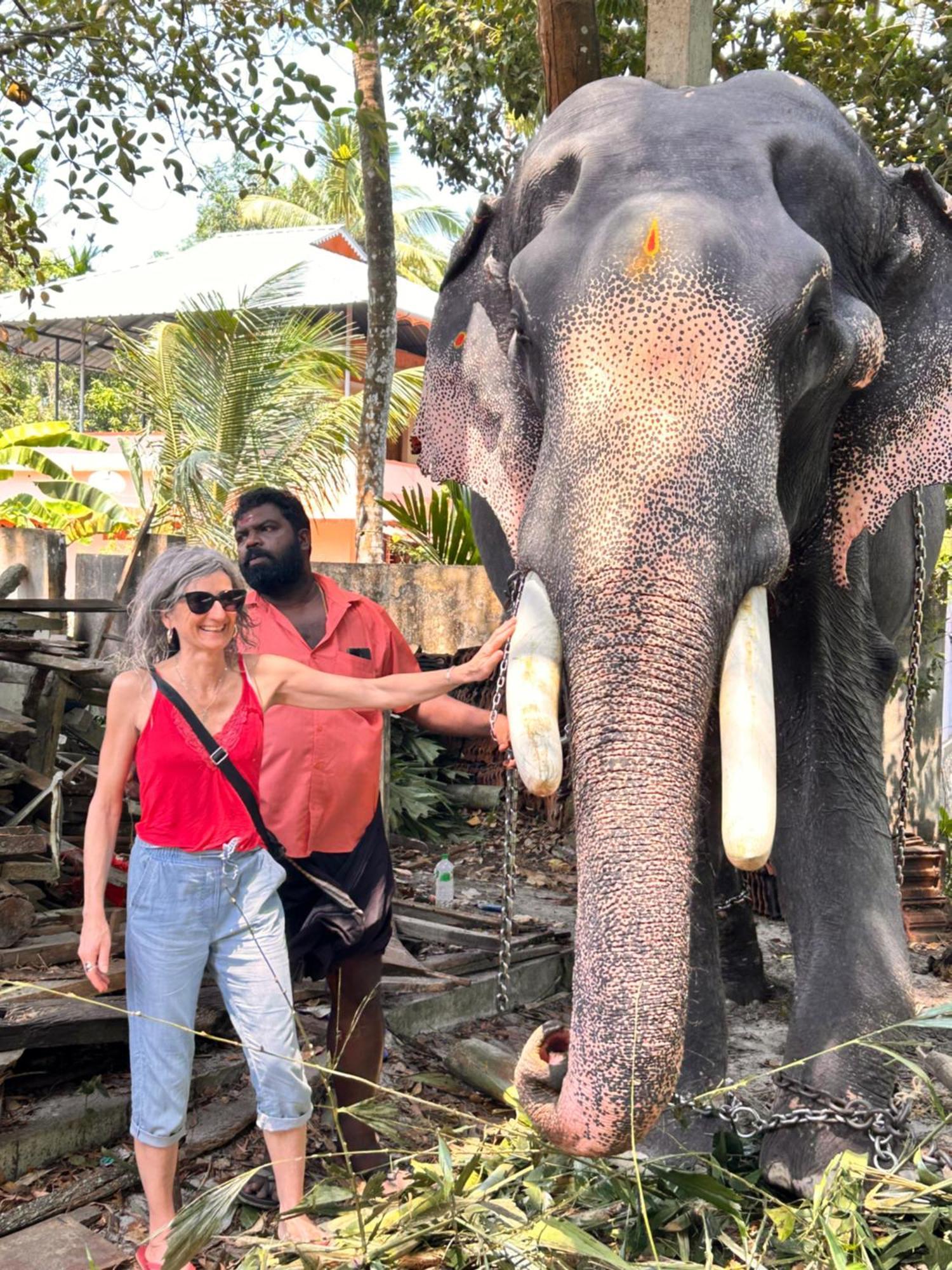 Marari Beach Cleetus Homestay Mararikulam Zewnętrze zdjęcie